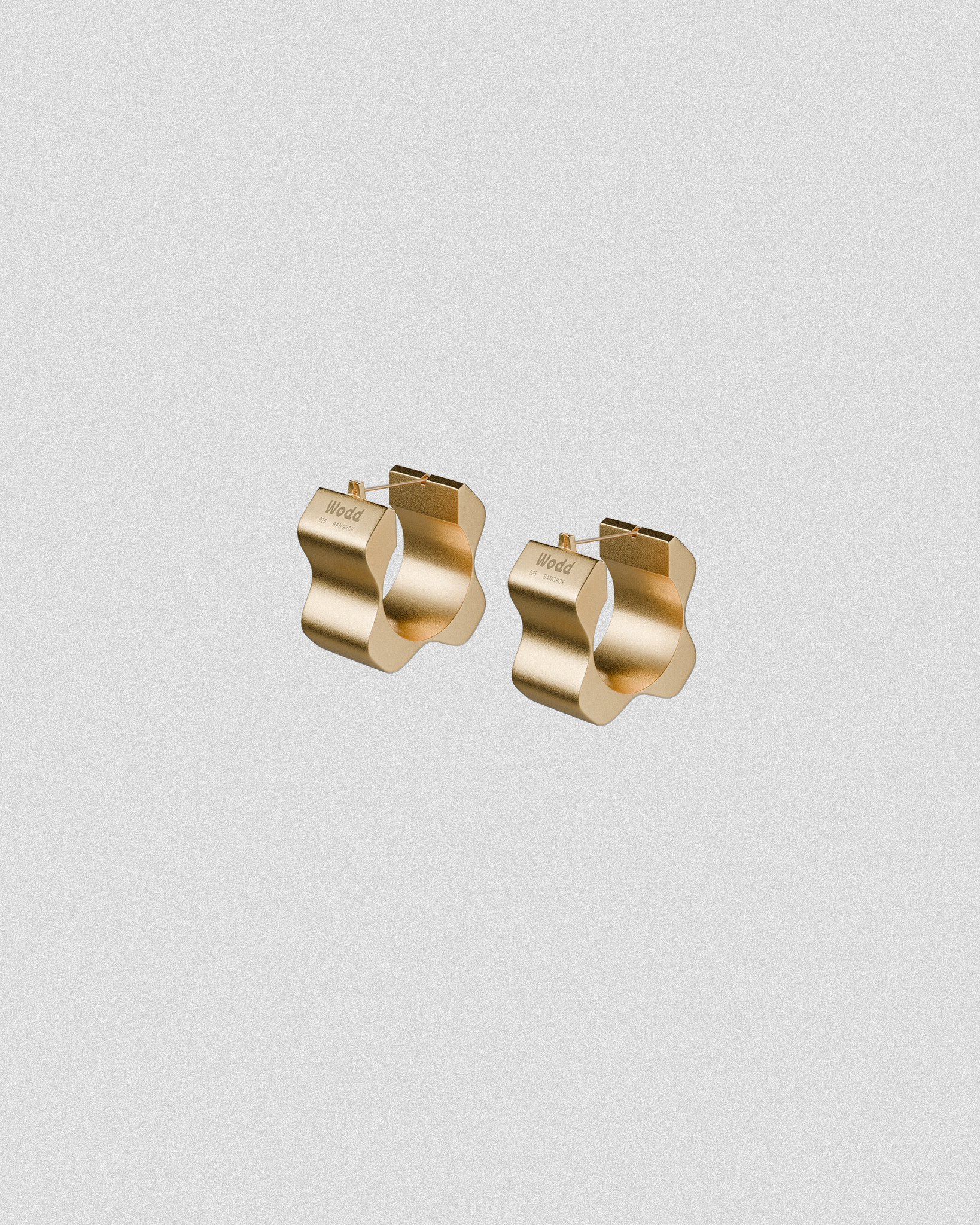 FOUNDATION EARRINGS 00